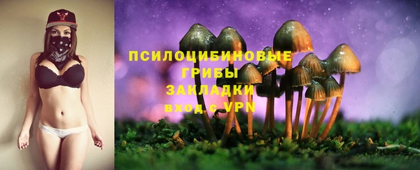 ешки Абинск