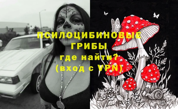 эйфоретик Алексин