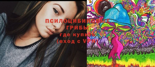 эйфоретик Алексин