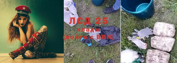 ГАЛЛЮЦИНОГЕННЫЕ ГРИБЫ Абдулино