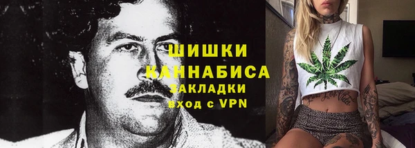 МДПВ Алзамай