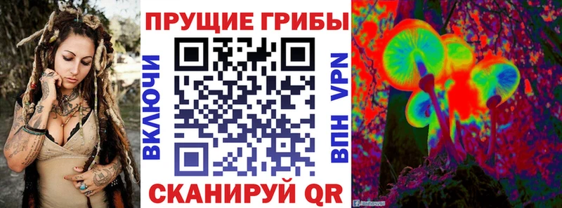 купить   Красково  OMG вход  площадка Telegram  Псилоцибиновые грибы GOLDEN TEACHER 